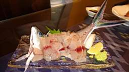 2015-11-28 19.13.24.JPG